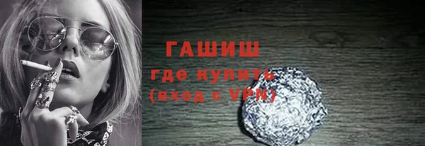 гашик Пестово