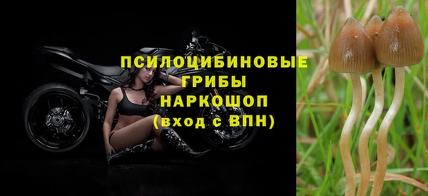 mdpv Покров