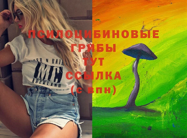 MESCALINE Покачи