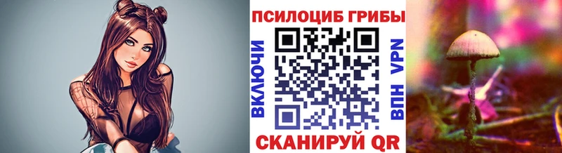 как найти   Советск  Галлюциногенные грибы MAGIC MUSHROOMS 